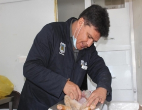 Jornada de esterilizaci&oacute;n
