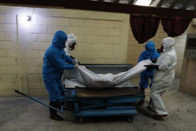 232 fallecimientos confirmados en las &uacute;ltimas 24 horas.