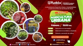 Habr&aacute; tres talleres virtuales para la producci&oacute;n de alimentos