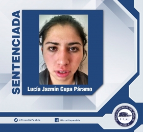 En pr&oacute;ximos d&iacute;as, se definir&aacute; la situaci&oacute;n penal de su c&oacute;mplice.