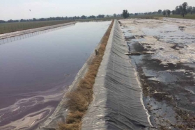 Autoridades municipales han solicitado intervenci&oacute;n de Profepa y Secretar&iacute;a de Infraestructura