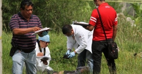 Se desconoce la identidad y de qu&eacute; muri&oacute;