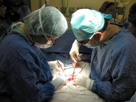 Donaci&oacute;n de &oacute;rganos en IMSS