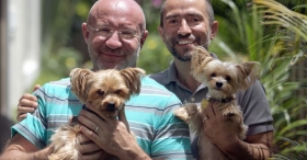 Adopci&oacute;n de mascotas