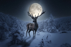Superluna de ciervo julio 2022: a qu&eacute; hora, cu&aacute;ndo y d&oacute;nde verla