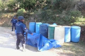 Veh&iacute;culos asegurados