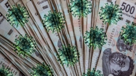 revel&oacute; una encuesta del banco central 