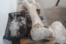 La organizaci&oacute;n pidi&oacute; un permiso al INAH para hacer un museo que permita el resguardo y exhibici&oacute;n