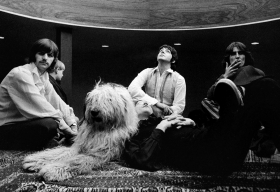 Paul McCartney inspirado en una perrita pastor ingl&eacute;s