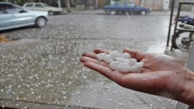 Protecci&oacute;n Civil del municipio atendi&oacute; la contingencia  