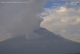 Ca&iacute;da de ceniza