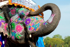 En marzo se celebra el impresionante Elephant Festival de Jaipur, la capital de Rajast&aacute;n.