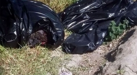 Cuatro bolsas negras conten&iacute;an los restos  
