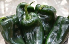 Se han cultivado m&aacute;s de 200 hect&aacute;reas