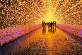 Nabana no Sato: Jap&oacute;n #FestivalesDelMundo