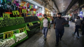 #CDMX tendr&aacute; planta solar en el techo de la Central de Abastos
