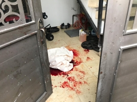 En el domicilio ocurri&oacute; una masacre 