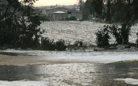 Los campos se ti&ntilde;eron de blanco  